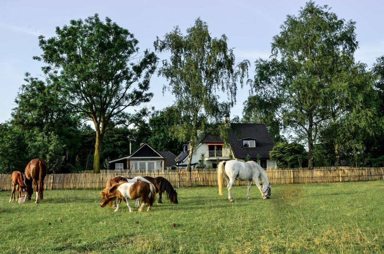 Bed & Breakfast De Zandhoef Eersel Εξωτερικό φωτογραφία
